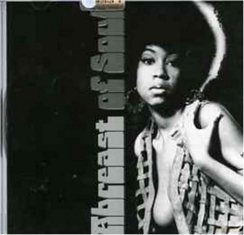 A Breast Of Soul [CD]