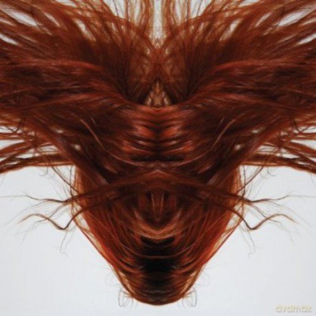 Dave Phillips: A Collection Of Hair [2CD]
