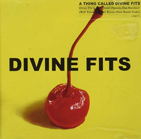 Divine Fits: A Thing Called Divine Fits [CD]