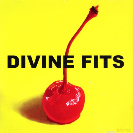 Divine Fits: A Thing Called Divine Fits [CD]