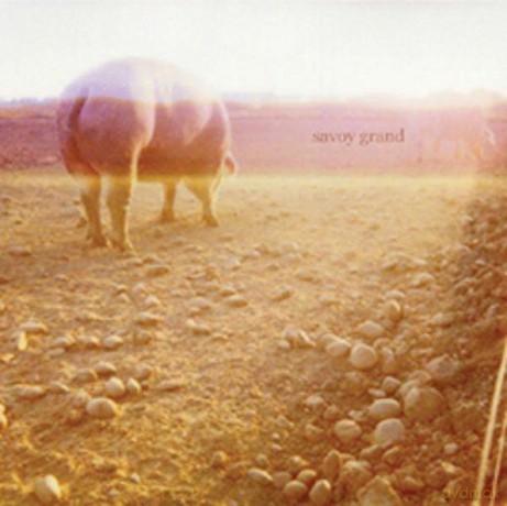 Savoy Grand: Accident Book [CD]