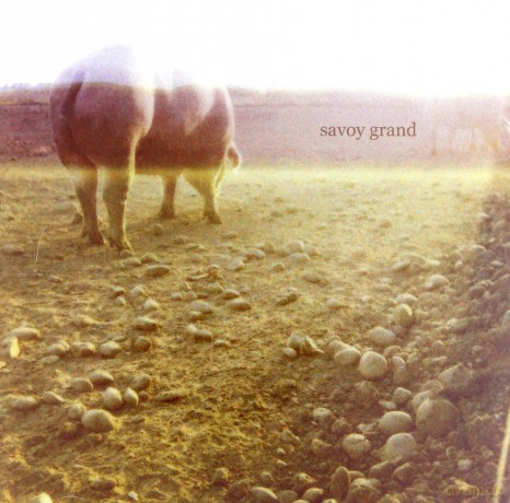 Savoy Grand: Accident Book [CD]