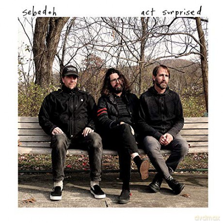 Sebadoh: Act'surprised [Winyl]