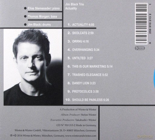 Jim Black: Actuality - Jim Black Trio [CD]