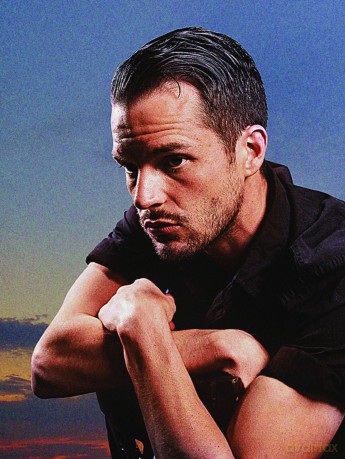 Brandon Flowers: Flamingo [CD]