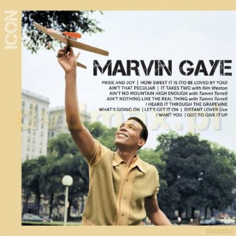 Marvin Gaye: Icon Collection [CD]