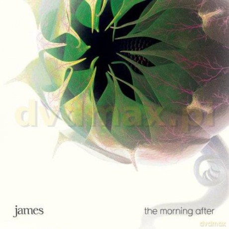 James: Morning After [CD]