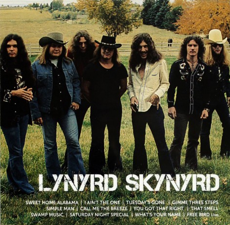 Lynyrd Skynyrd: Icon Collection [CD]