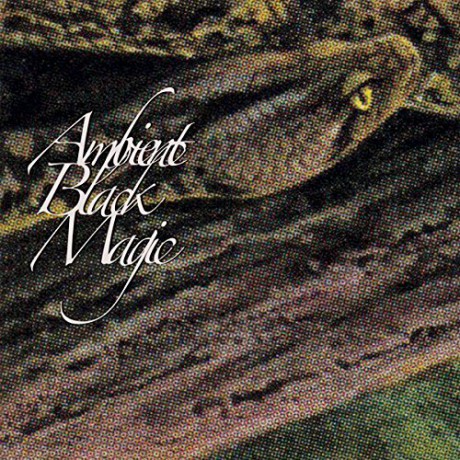 Rainforest Spiritual Enslavement: Ambient Black Magic [CD]