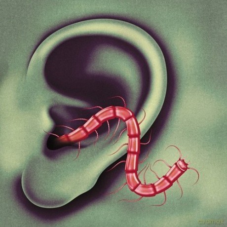 Thee Oh Sees: An Odd Entrances [CD]