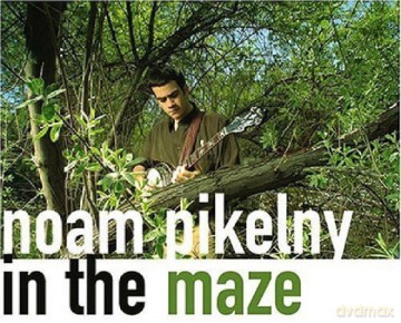 Pikeiny Noam: In The Maze [CD]
