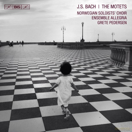 Ensemble Allegria: J.S. Bach: The Motets [SACD]