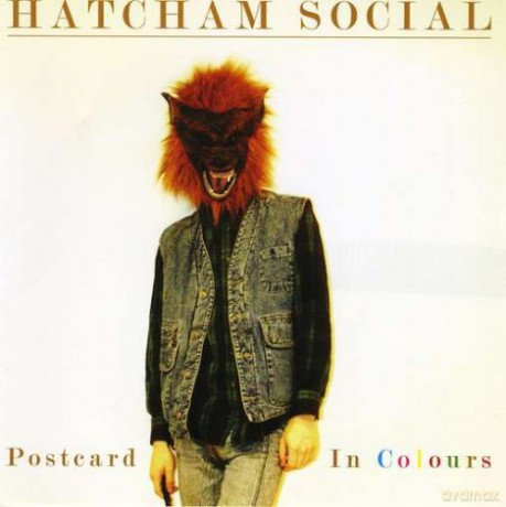 Hatcham Social: Postcard In Colours [CD]