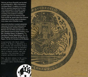 Psychedlic Pernambuco [CD]