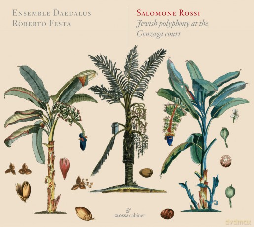 Ensemble Daedalus - Roberto Festa: Salomone Rossi - Jewish Polyphony At The Gonzaga Court [CD]