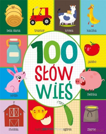 100 pierwszych słów Wieś [KSIĄŻKA]