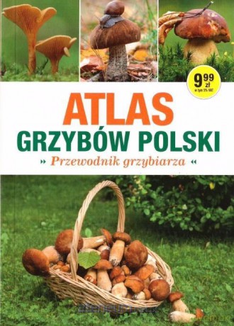 Atlas Grzybów Polski. Poradnik Grzybiarza [KSIĄŻKA]