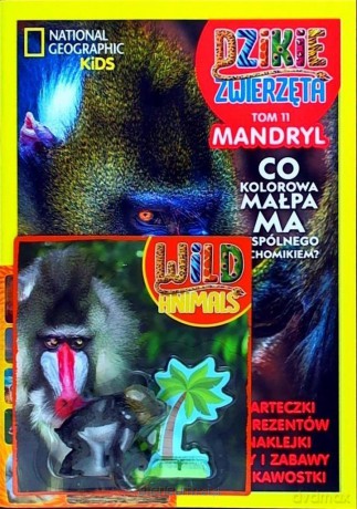Dzikie Zwierzęta (Tom 11) Mandryl [KSIĄŻKA]