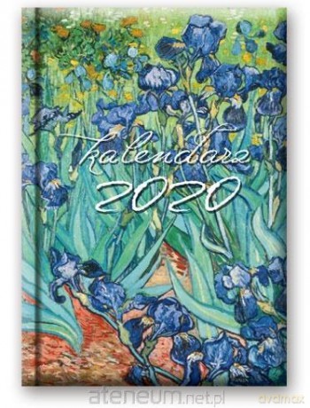 Kalendarz 2020 Dzienny B6 Soft Irysy 41DS-04 [KALENDARZ]