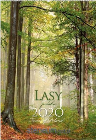 Kalendarz 2020 Reklamowy Lasy Polskie RW05 [KALENDARZ]