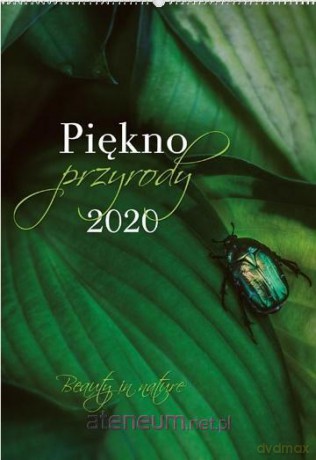 Kalendarz 2020 Reklamowy Piękno przyrody RW22 [KALENDARZ]