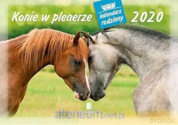 Kalendarz 2020 Rodzinny Konie w plenerze WL10 [KALENDARZ]