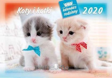 Kalendarz 2020 Rodzinny Koty i Kotki WL9 [KALENDARZ]