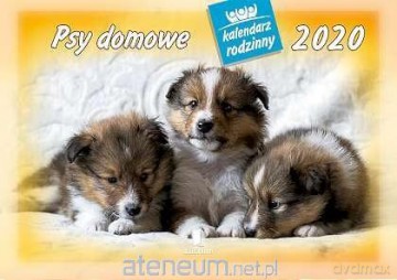 Kalendarz 2020 Rodzinny Psy domowe WL8 [KALENDARZ]