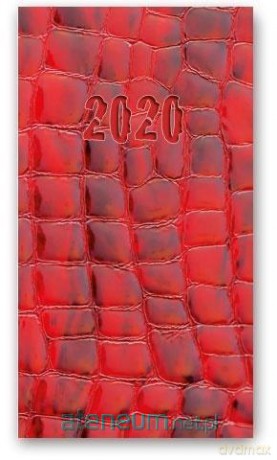 Kalendarz 2020 Tygodniowy A6 Soft Skóra 11TS [KALENDARZ]