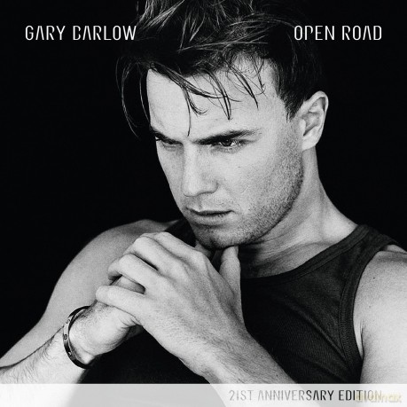 Gary Barlow: Open Road [Winyl]