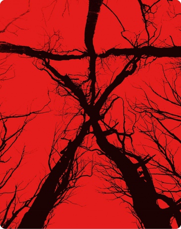 Blair Witch [Blu-Ray]