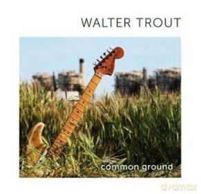 Walter Trout: Common Ground [CD]