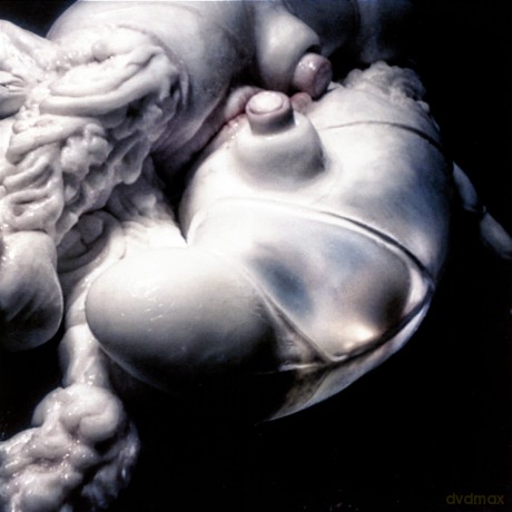 Bjork: Arisen My Senses [Winyl]