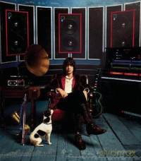 Julian Casablancas: Phrazes For The Young  [Winyl]