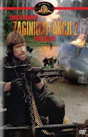 Zaginiony w akcji 2 (polski lektor) [DVD]