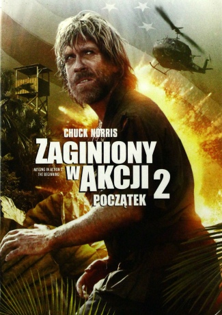 Zaginiony w akcji 2 (polski lektor) [DVD]