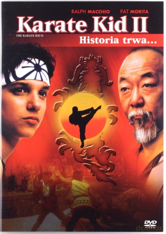 Karate Kid Trylogia Pakiet [3DVD]