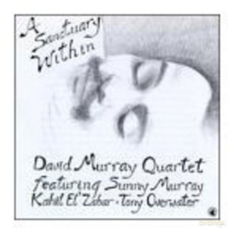 David Murray: A Sanctuary Within [CD]
