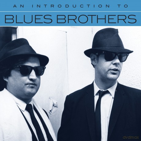 Blues Brothers: An Introduction To [CD]