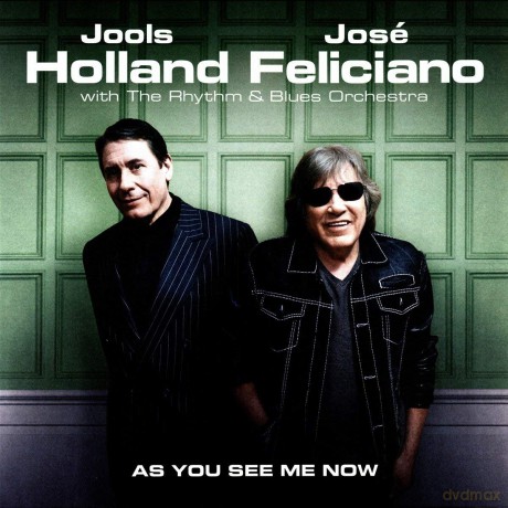 Jools Holland: As You See Me Now [Winyl]