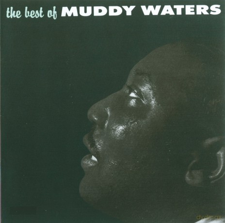 Muddy Waters: Best Of [CD]