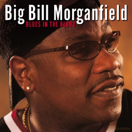 Big Bill Morganfield: Blues In The Blood [CD]