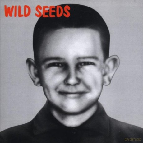Wild Seeds: Brave, Clean + Reverent [CD]