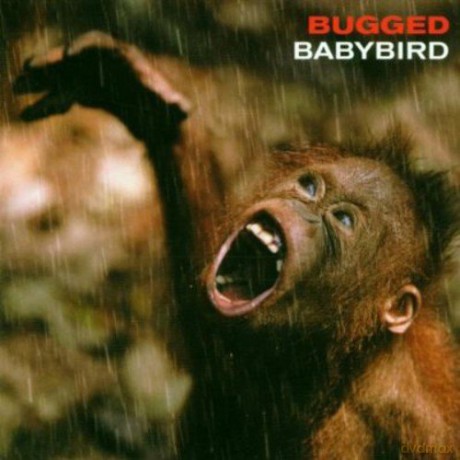 Babybird: Bugged [CD]