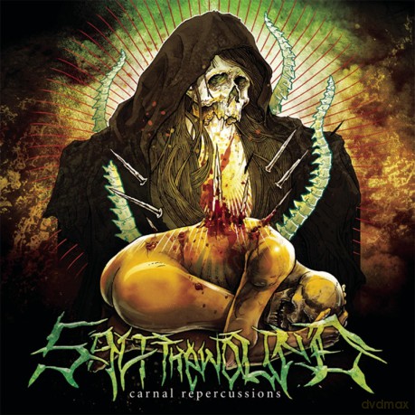 Salt the Wound: Carnal Repercussions [CD]