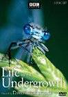 David Attenborough Przedstawia: Zadziwiające życie bezkręgowców [DVD]