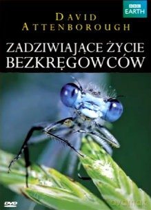 David Attenborough Przedstawia: Zadziwiające życie bezkręgowców [DVD]
