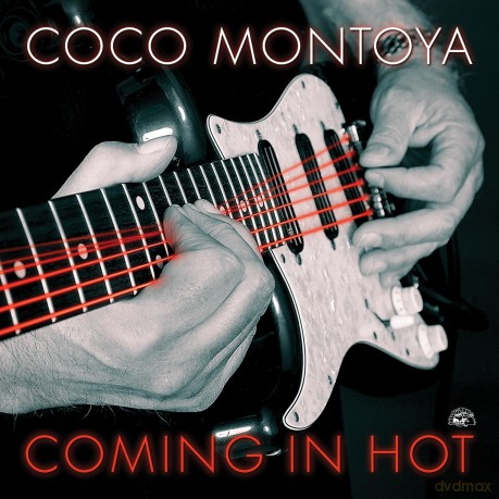 Coco Montoya: Coming In Hot [CD]
