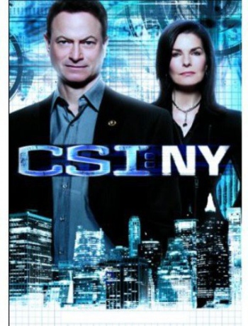 Csi: Ny - the Final Season [5DVD]