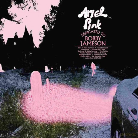 Ariel Pink: Dedicated To Bobby Jameson [CD]
